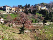 Dal Monastero di Astino a San Vigilio-CittA' Alta ad anello-28nov25-FOTOGALLERY